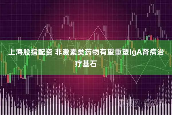 上海股指配资 非激素类药物有望重塑IgA肾病治疗基石