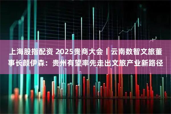 上海股指配资 2025贵商大会丨云南数智文旅董事长颜伊森：贵州有望率先走出文旅产业新路径