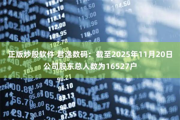正版炒股软件 君逸数码：截至2025年11月20日公司股东总人数为16527户