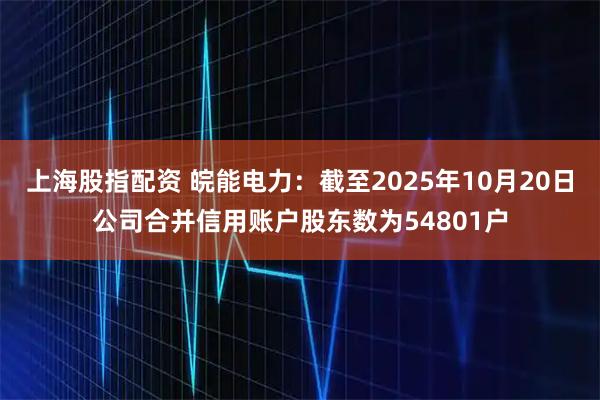 上海股指配资 皖能电力：截至2025年10月20日公司合并信用账户股东数为54801户